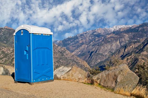 Best Sanitation services for porta potties  in Tornado, WV